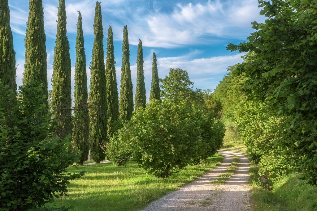 מלון Monte Castello di Vibio Fattoria Di Vibio מראה חיצוני תמונה